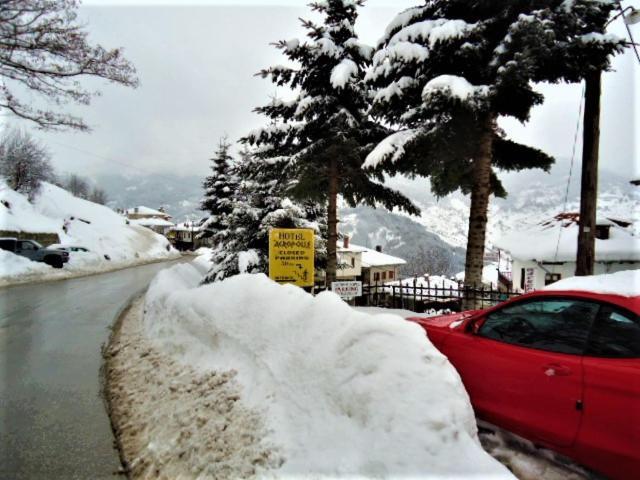 Hotel Acropolis Metsovo Exterior foto