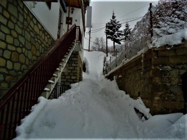 Hotel Acropolis Metsovo Exterior foto